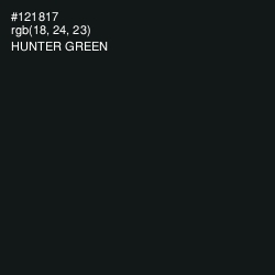 #121817 - Hunter Green Color Image
